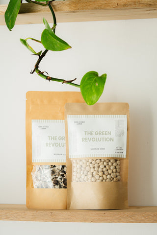 Moringa Zaden