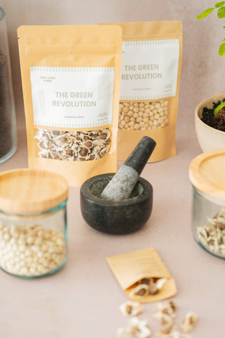 Moringa Zaden