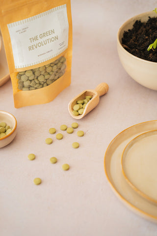 Moringa Tabletten