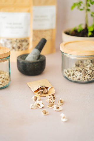 Moringa Zaden