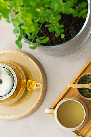Moringa Thee
