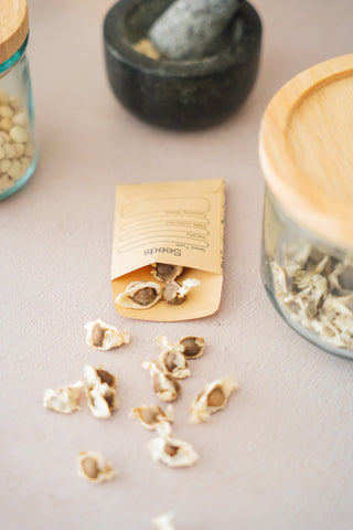 Moringa Zaden