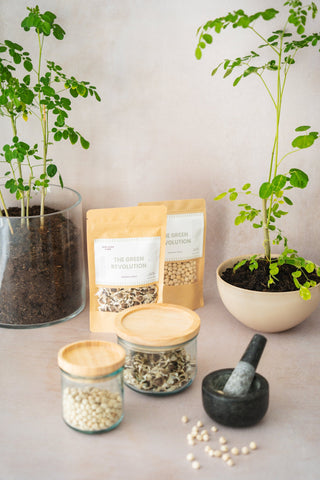 Moringa Zaden