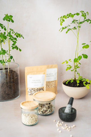 Moringa Zaden