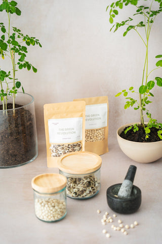 Moringa Zaden
